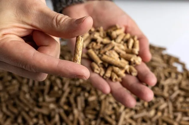 Jak rozpoznać dobry pellet? Standardy jakości pelletu